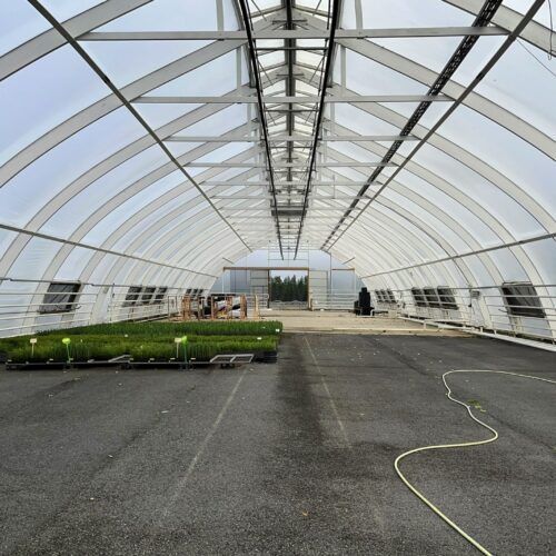 Greenhouse pictured from inside.