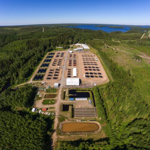 Drone picture of Kainuu fishery research station.