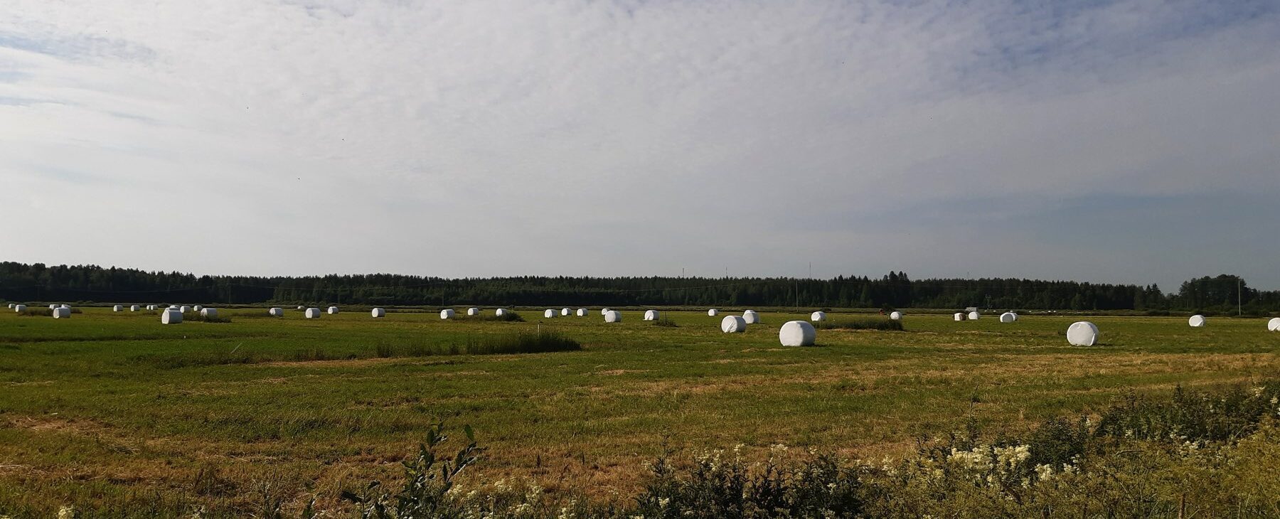 A field with hay pales at the NorPeat research platform.