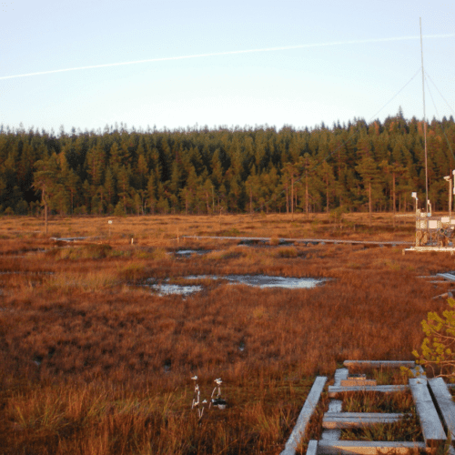 Bog research infrastructure in Siikaneva.